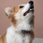 Dance it Out - Engraved pet ID tag