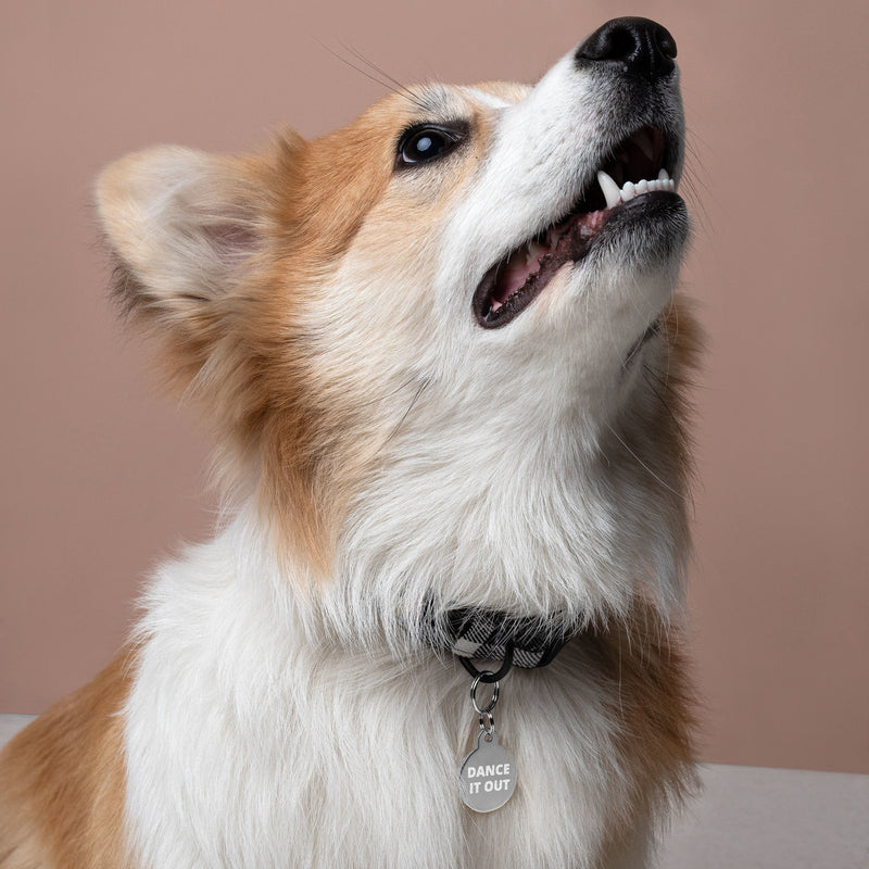 Dance it Out - Engraved pet ID tag